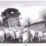 Schweineherde in Berg