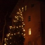 Weihnachtsgruß von MUSE-O